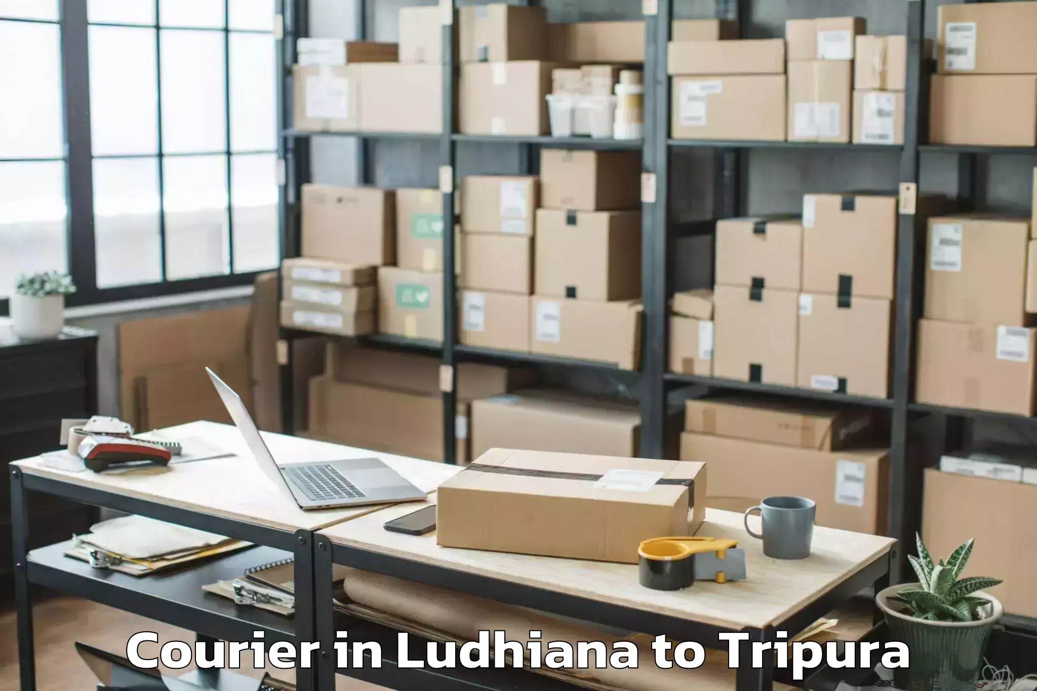 Professional Ludhiana to Bishalgarh Courier